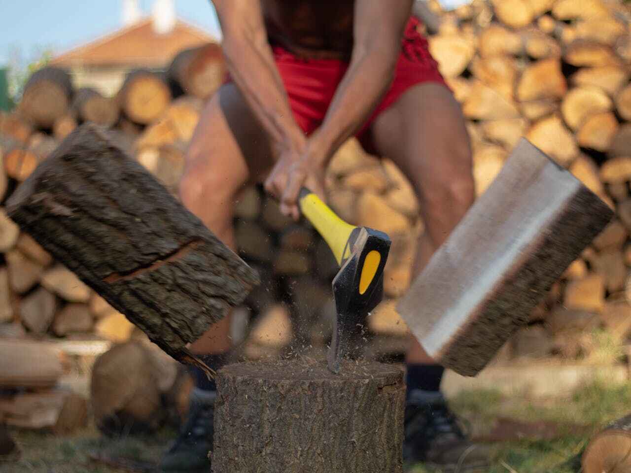 Dead Tree Removal in Glasgow, MT